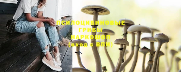 гашик Лихославль