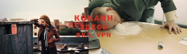 дурь Ладушкин