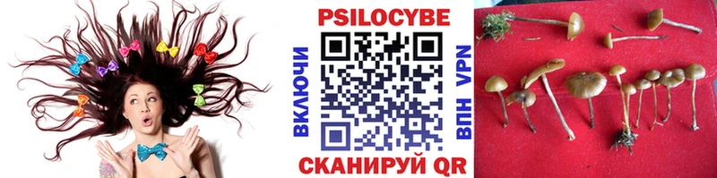 mega рабочий сайт  купить  цена  Кувшиново  Псилоцибиновые грибы прущие грибы 